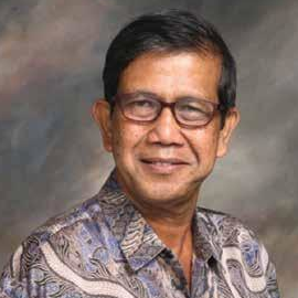 Prof. Dr. Ir. A. Humam Hamid, M.A.